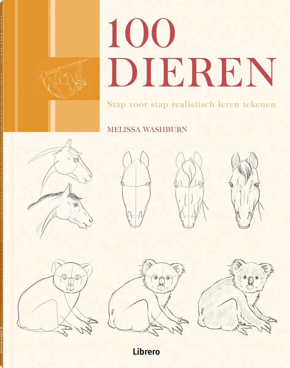 auditie Scheur Inloggegevens 100 Dieren stap voor stap realistisch tekenen, Melissa Washburn |  9789463593496 | Boeken | bol.com