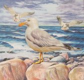 Servetten Seagulls on Rocks 33 x 33 cm