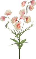 Viv! Home Luxuries Lathyrus - zijden bloem - perzik - topkwaliteit