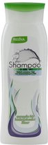 Regina Shampoo Normal To Slightly Oily Hair / 300 Ml