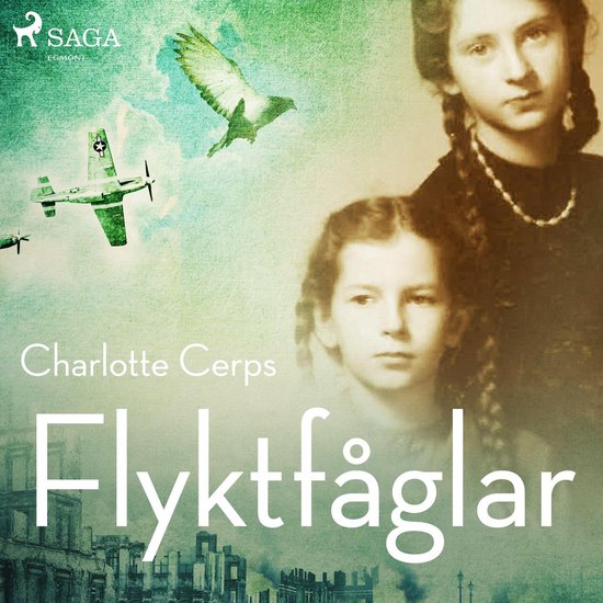Flyktfåglar - cover
