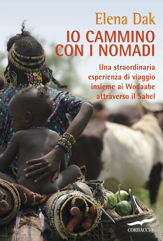 Io cammino con i nomadi - cover