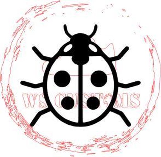 lady bug air force 1