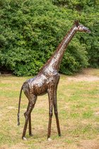 METAL 1.6M NATURAL GIRAFFE