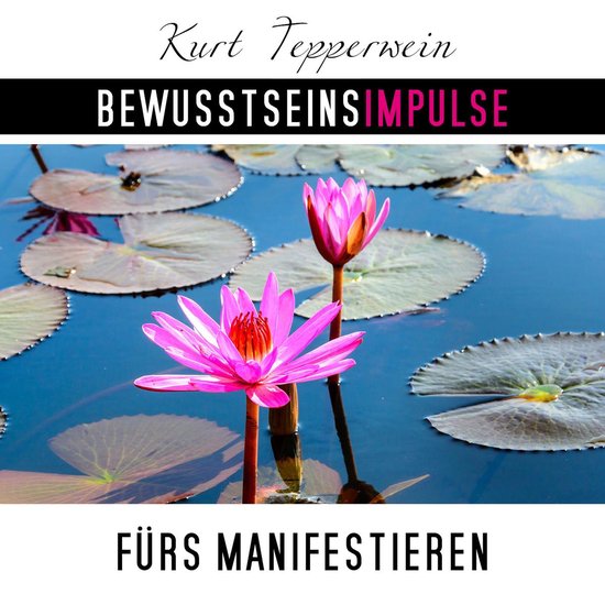 Bewusstseinsimpulse fürs Manifestieren - cover