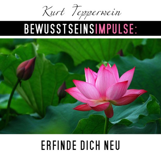Bewusstseinsimpulse: Erfinde dich neu - cover