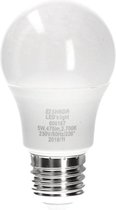 LED's Light LED lamp E27 - Lichtbron Peer - 5.5W vervangt 40W - Warm wit