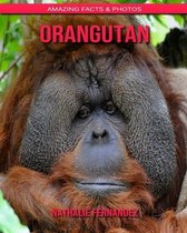 Orangutan