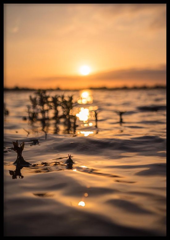 Poster Zon In Het Meer - 30x40cm met Fotolijst – Natuur Poster – Ingelijst