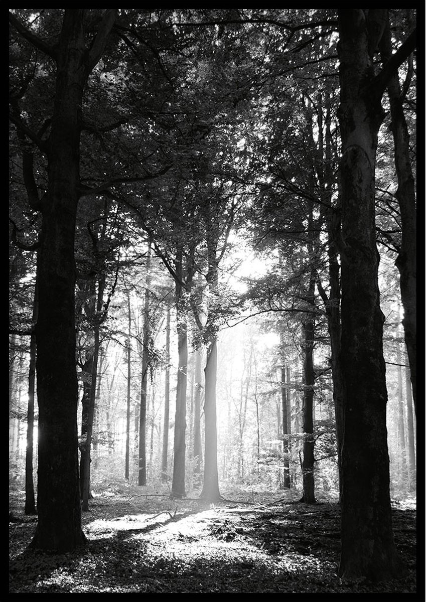 Poster Leurse Bos (staand) - 30x40cm met Fotolijst – Natuur Poster – Ingelijst