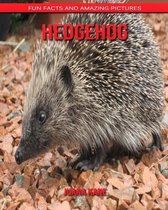 Hedgehog