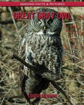 Great Gray Owl