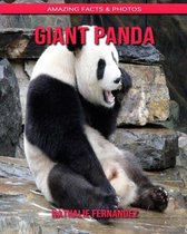 Giant Panda