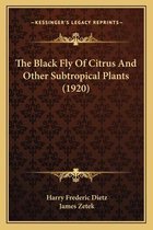 The Black Fly of Citrus and Other Subtropical Plants (1920)