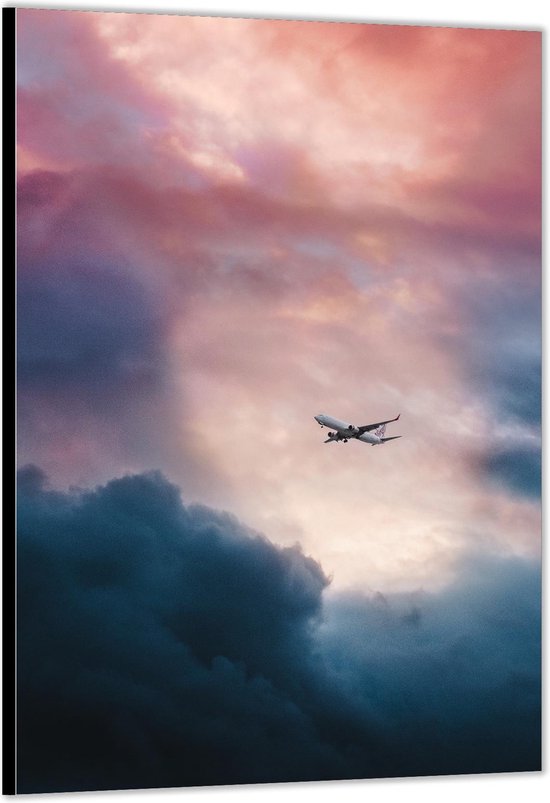 Dibond –Vliegtuig in Roze Lucht– 80x120cm Foto op Aluminium (Met Ophangsysteem)