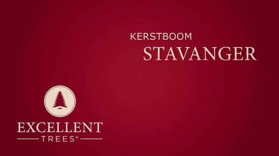 Kerstboom Excellent Trees® LED Stavanger 150 cm met verlichting - ⌀91cm - 150cm