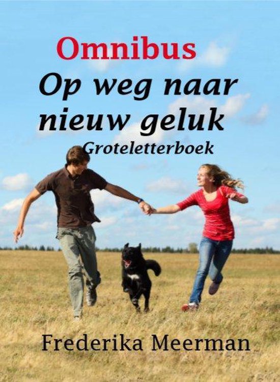 Op weg naar nieuw geluk - cover