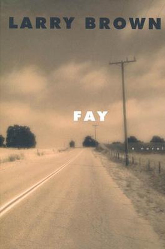 Boekcover met de titel FAY van LARRY BROWN, met een foto van een landweg met telefoonpalen.