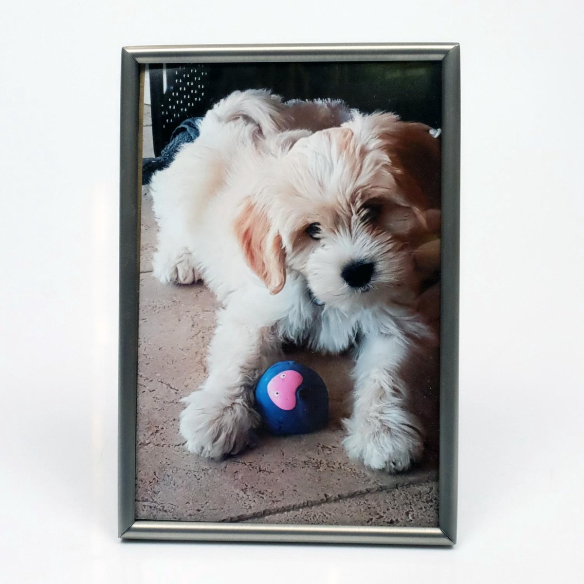 Alle lijsten AL - Mat Zilver - Fotolijst - Bol - 20 x 30 cm