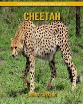 Cheetah