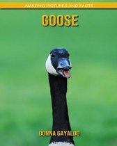 Goose