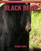 Black Bear