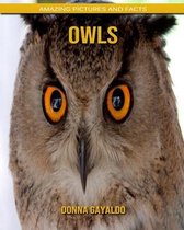 Owls