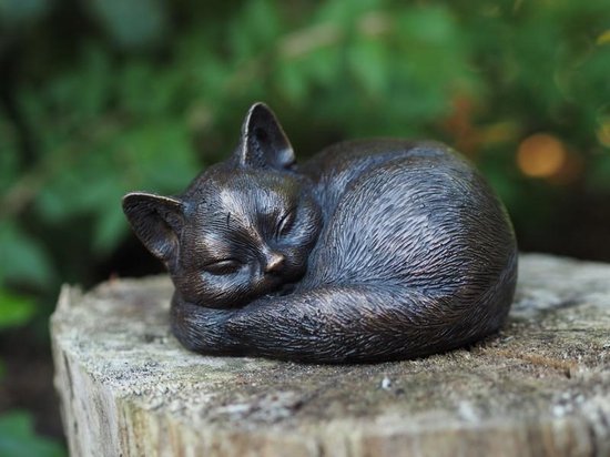 Tuinbeeld - bronzen beeld - Slapende kat / poes - Bronzartes - 9 cm hoog |  bol.com