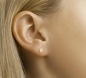 GLAMS - Boucles d'oreille clous Rondelle - Argent