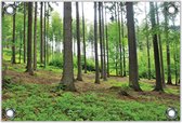 Tuinposter –Schuinlopende Bomen in het Bos– 120x80 Foto op Tuinposter (wanddecoratie voor buiten en binnen)