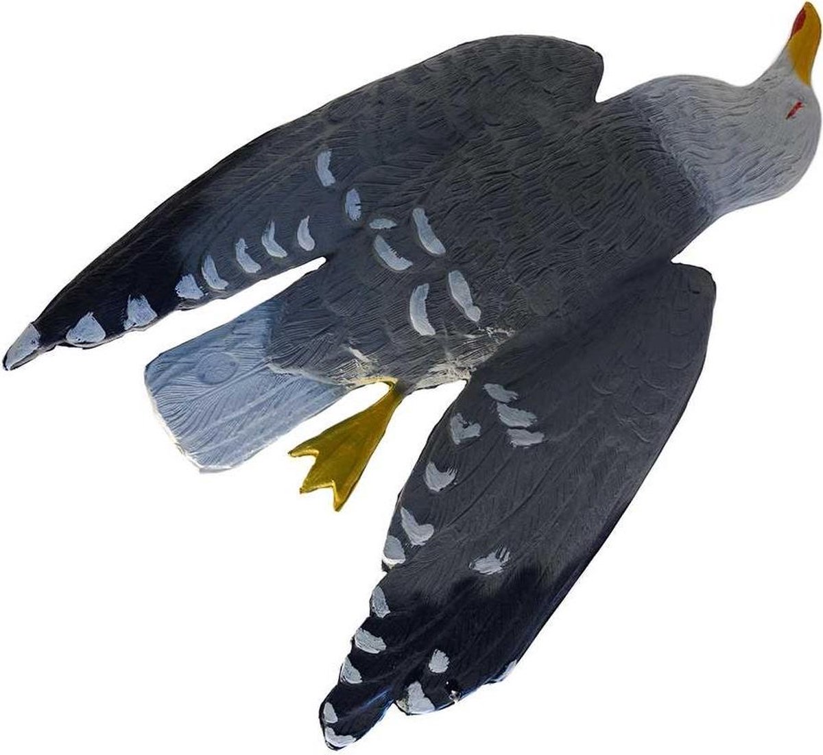 Flatty Gull