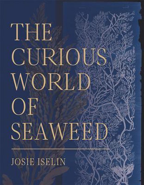 The Curious World of Seaweed - cover