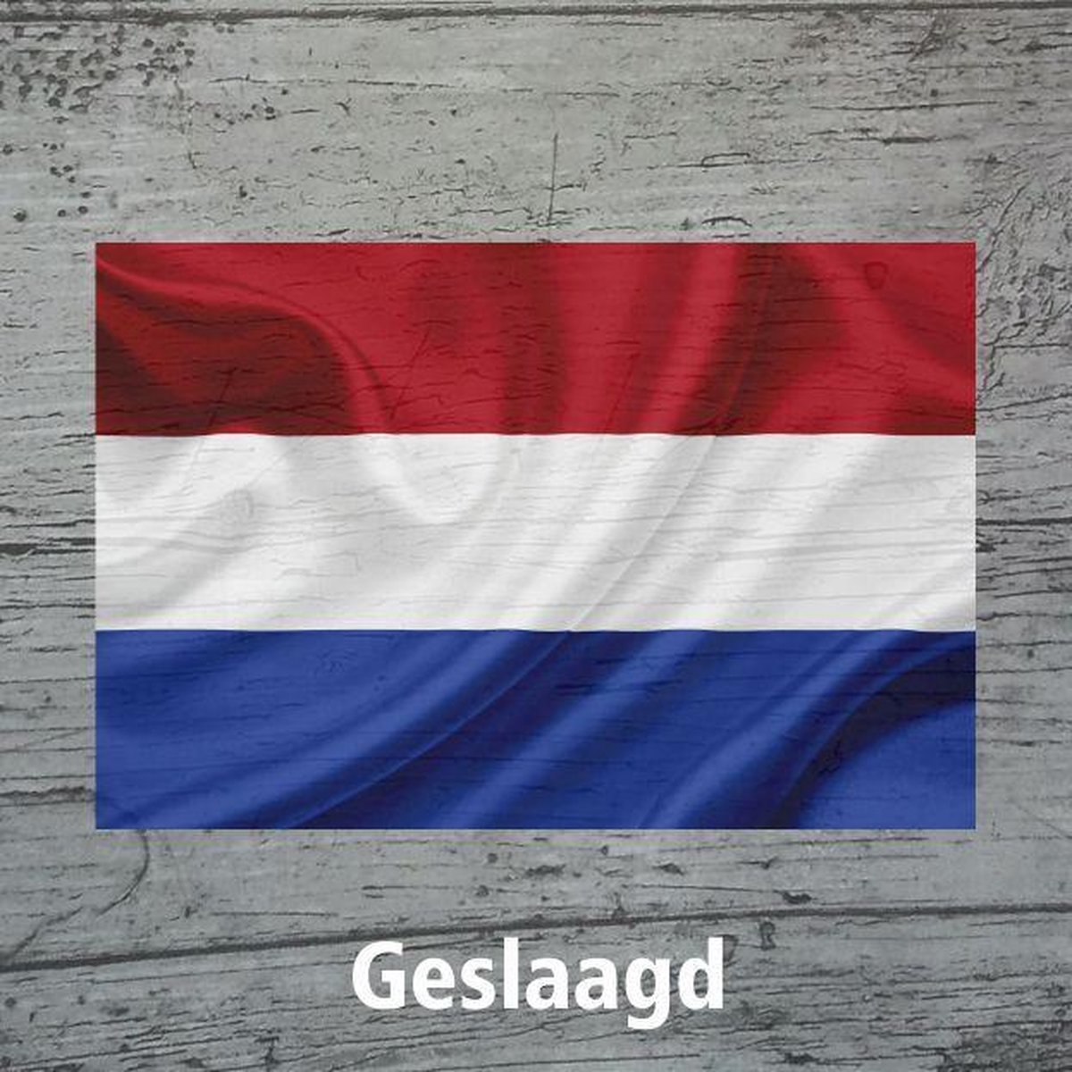 Bloemenkaartje Geslaagd - Cadeaukaartje - 20 Stuks - kaartjes - Vlag - 7 x 7 cm - Met Boorgaatje