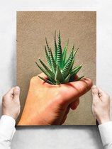 Wandbord: Vetplant in een hand - 30 x 42 cm