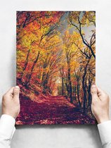 Wandbord: Kleurrijke herfstfoto in het bos met gele, oranje en rode bladeren - 30 x 42 cm