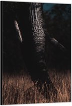 Dibond –Olifantenslurf– 40x60 Foto op Aluminium (Wanddecoratie van metaal)