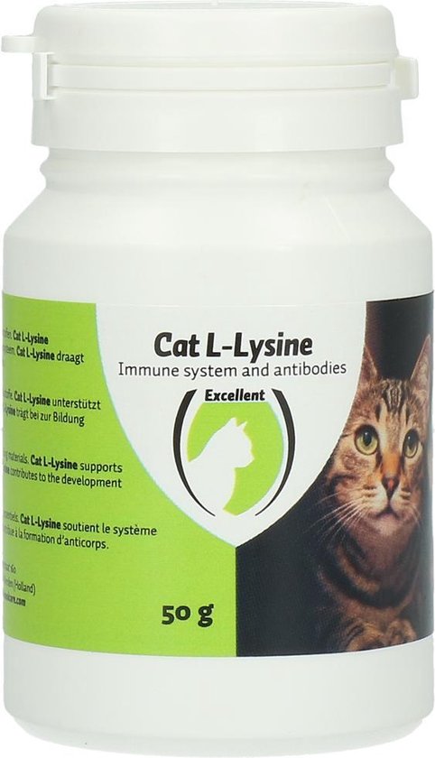 bod Nevelig onduidelijk Excellent Cat L Lysine aanvullend kattenvoer – Ondersteunt het  immuunsysteem –... | bol.com