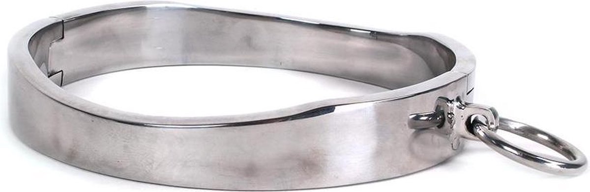 Collar met magnetisch slot RVS