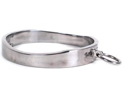 Collar met magnetisch slot RVS
