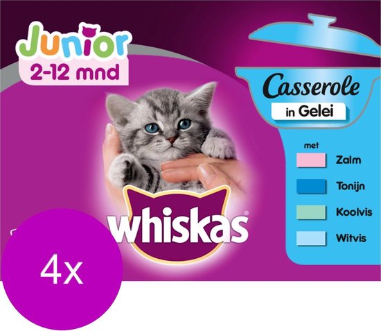 Whiskas Casserole Junior – Kattenvoer – 4 X Vis Gelei 12×85 G