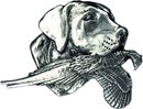 Labrador retriever Hanger met Fazant in de bek -merk COOLDOG™ in massief Zilver