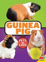 Pets We Love- Guinea Pig
