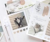 Diverse katten stickers|4 vellen|58 stickers