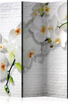 Kamerscherm - Scheidingswand - Vouwscherm - The Urban Orchid [Room Dividers] 135x172 - Artgeist Vouwscherm