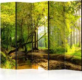 Kamerscherm - Scheidingswand - Vouwscherm - Forest Clearing II [Room Dividers] 225x172 - Artgeist Vouwscherm