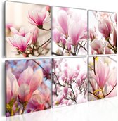 Schilderijen Op Canvas - Schilderij - Southern magnolias 60x40 - Artgeist Schilderij