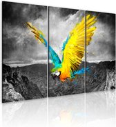 Schilderijen Op Canvas - Schilderij - Vogel-van-paradijs 90x60 - Artgeist Schilderij