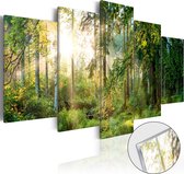 Paintings On Canvas - Image sur verre acrylique - Green Sanctuary [Glass] 200x100 - Artgeist Painting