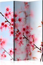 Kamerscherm - Scheidingswand - Vouwscherm - Symbol of Japan - sakura flowers [Room Dividers] 135x172 - Artgeist Vouwscherm