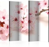 Kamerscherm - Scheidingswand - Vouwscherm -  Cherry Blossom II [Room Dividers] 225x172 - Artgeist Vouwscherm